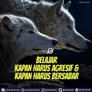 PICS IG YSI for Quotes 09 | Yuk-Simak Info